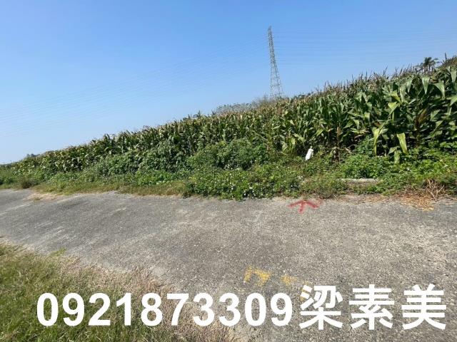 台南新營農地-9