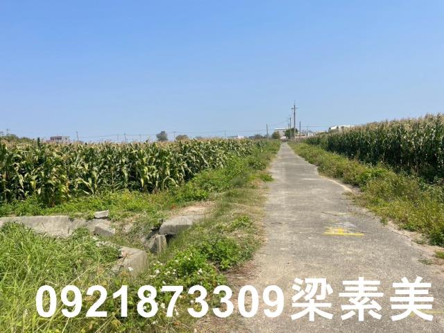台南新營農地-11
