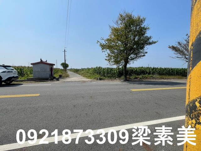 台南新營農地-4
