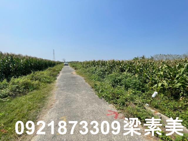 台南新營農地-6