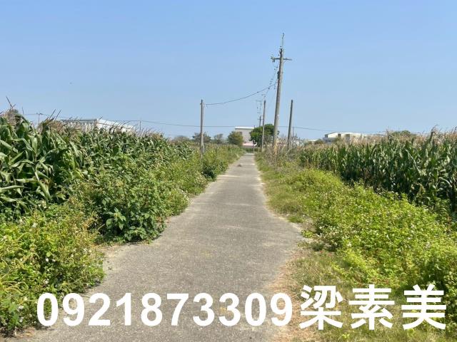 台南新營農地-7