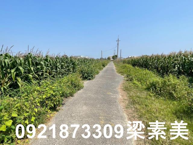 台南新營農地-8