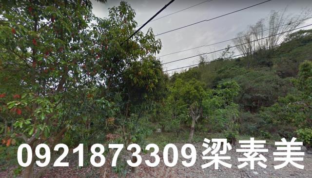 杉林農地-1