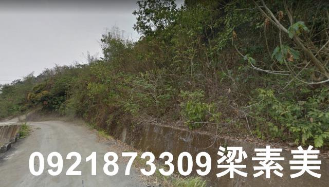 杉林農地-2