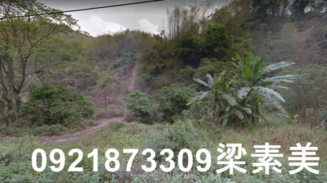杉林農地-6