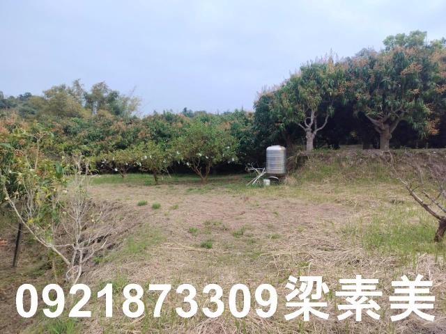 田寮農地-0