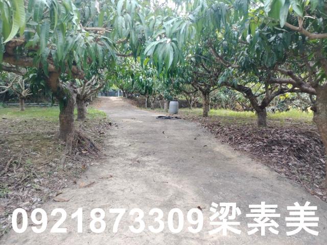 田寮農地-3