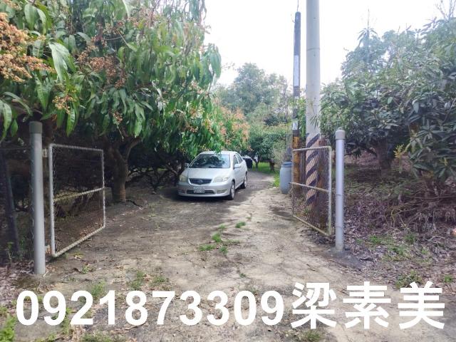 田寮農地-5