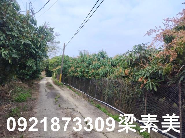 田寮農地-7
