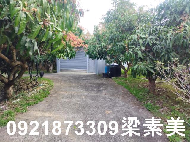 田寮農地-8