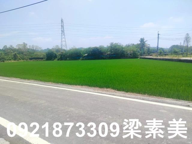 台南農地-3