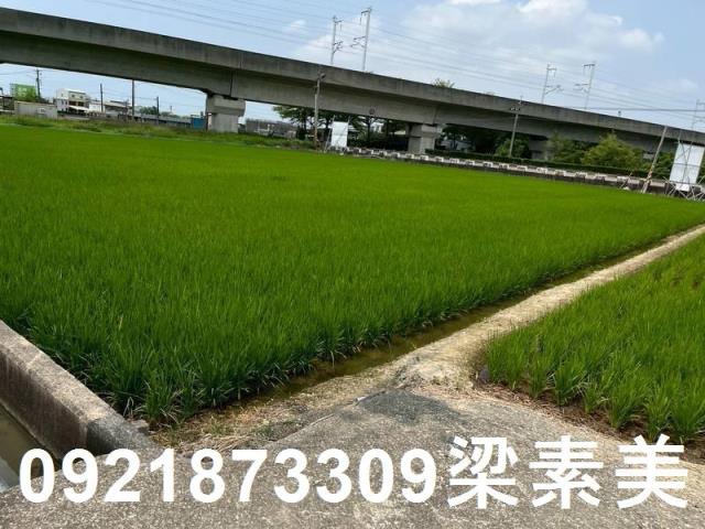 台南農地-0