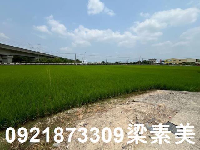 台南農地-4
