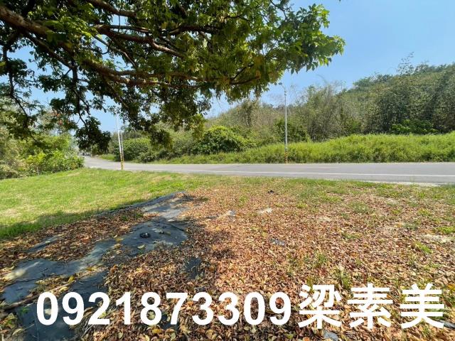 台南農地-2
