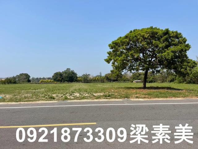 台南農地-7