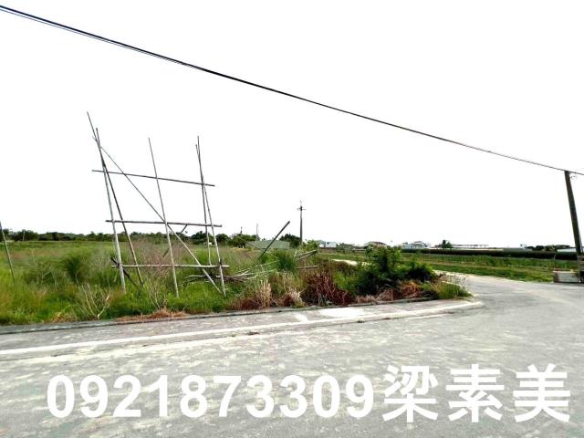 台南農地-2