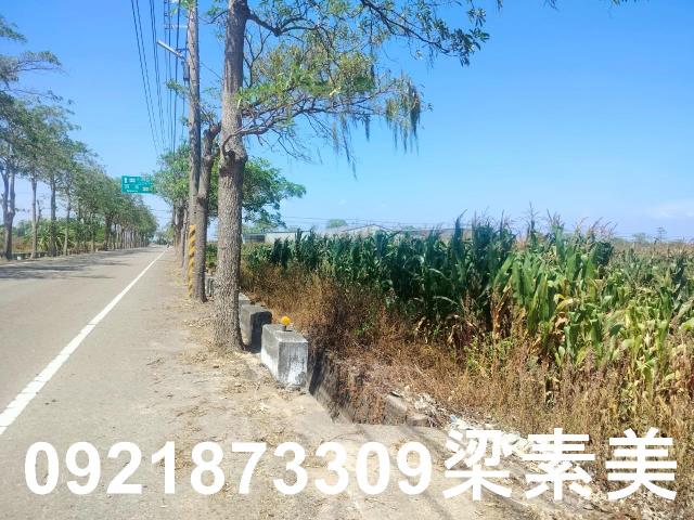 台南農地-9