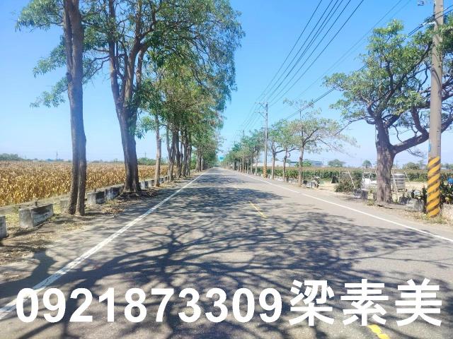 台南農地-2