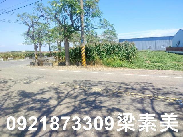 台南農地-3