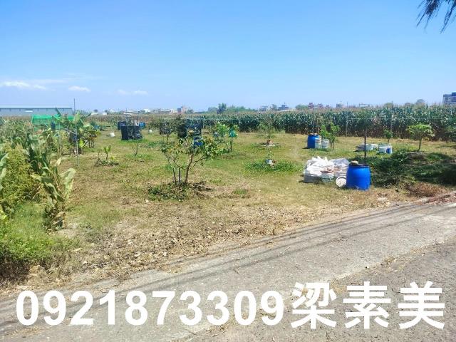 台南農地-5