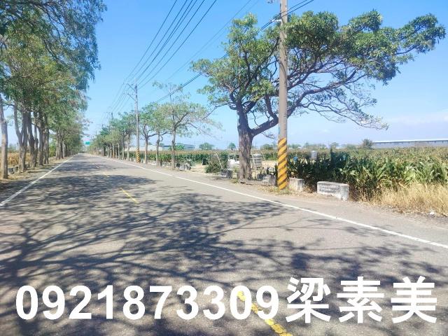 台南農地-6