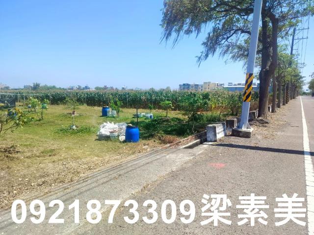 台南農地-7