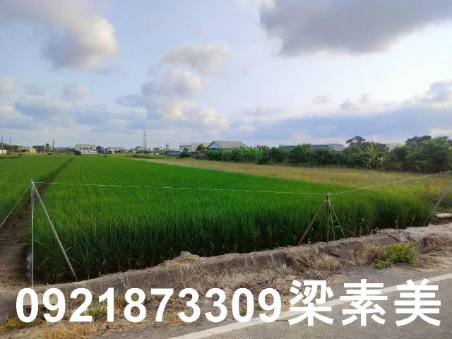 台南農地-3