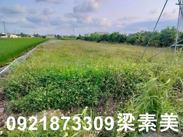 台南農地-5