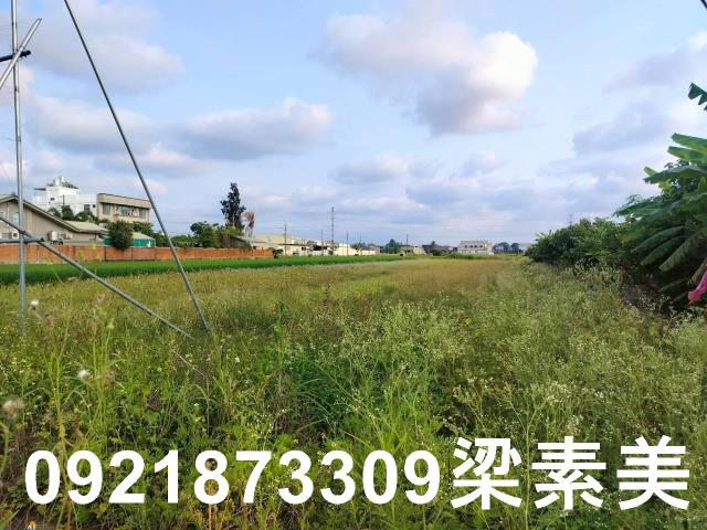 台南農地-6