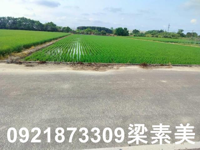 台南農地-8