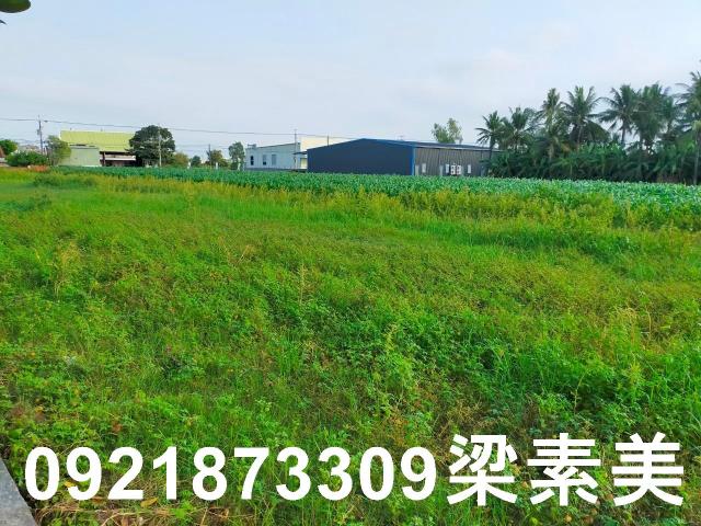台南農地-9