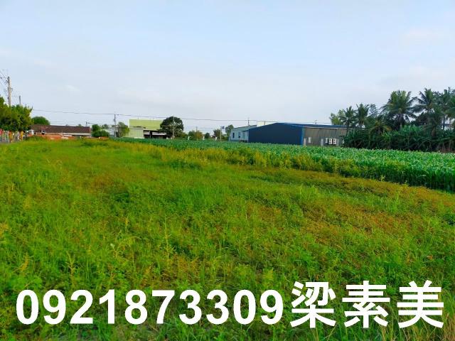 台南農地-11