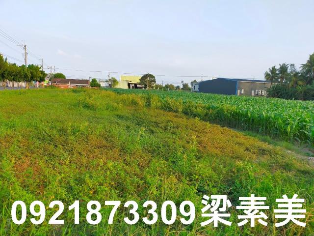 台南農地-13
