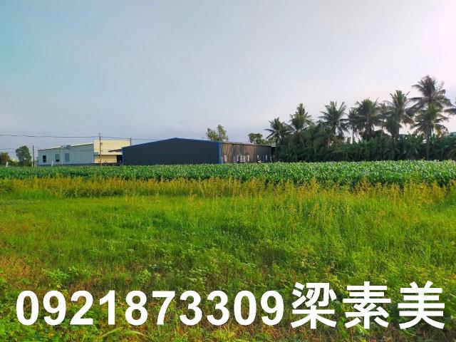 台南農地-4