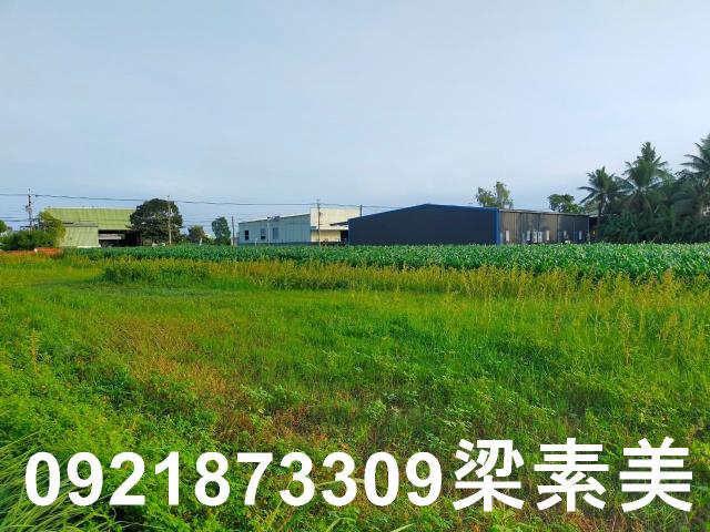 台南農地-5
