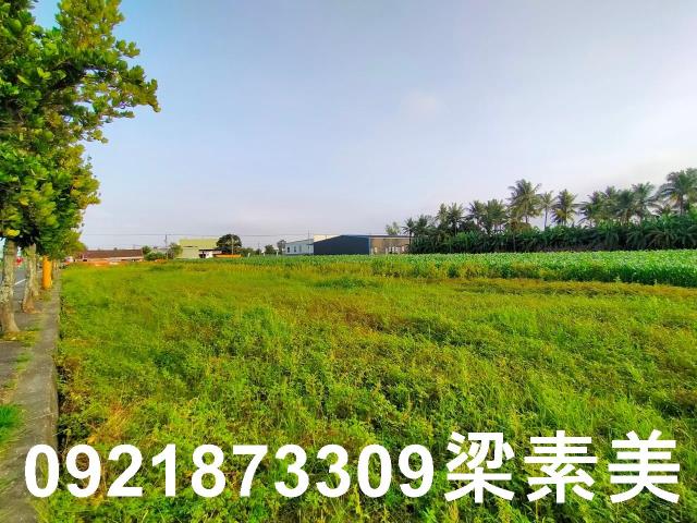 台南農地-6