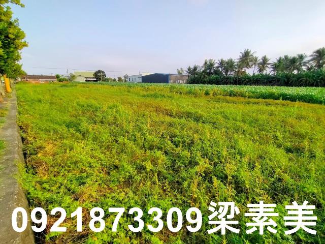 台南農地-7