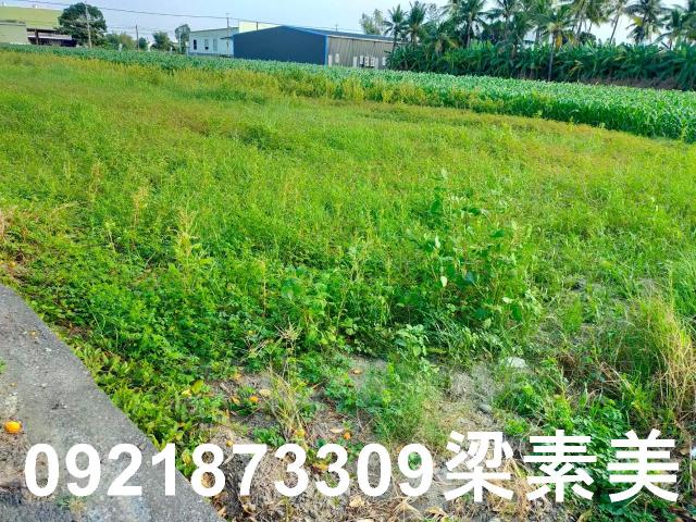 台南農地-8