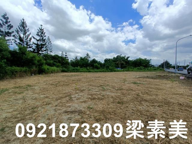 新化農地-2
