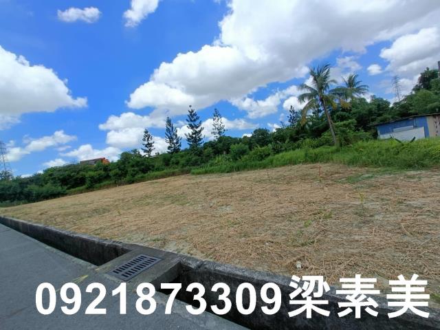新化農地-4