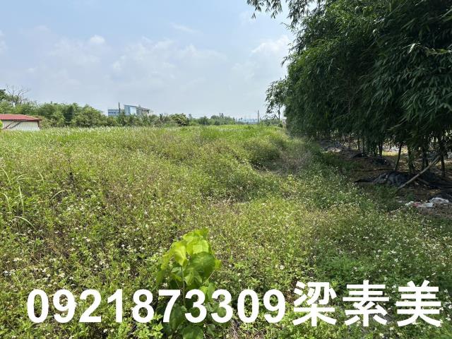 嘉義大林農地-0