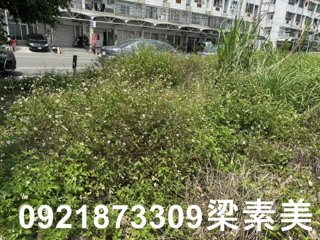 嘉義大林農地-1