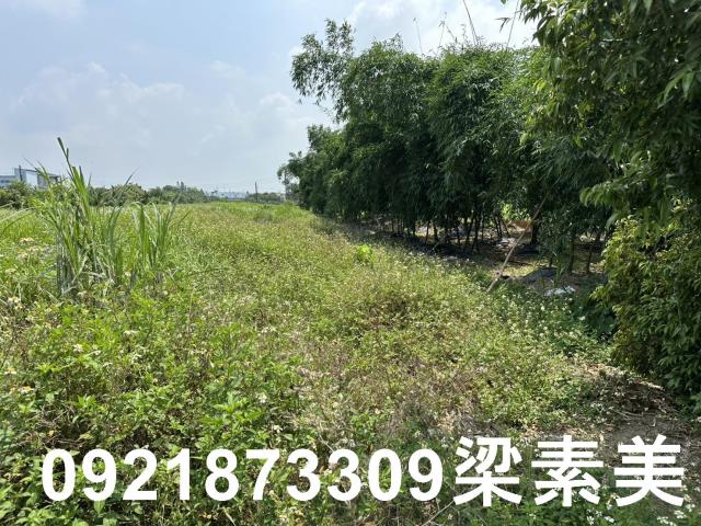 嘉義大林農地-3