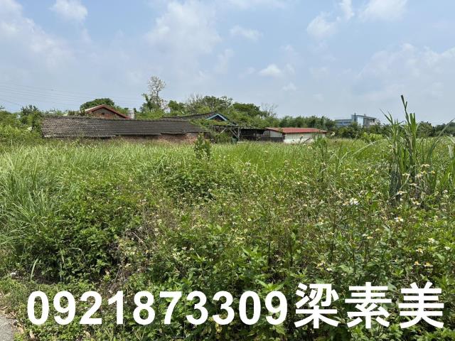 嘉義大林農地-4