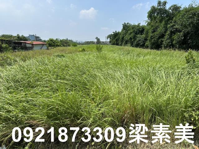 嘉義大林農地-6