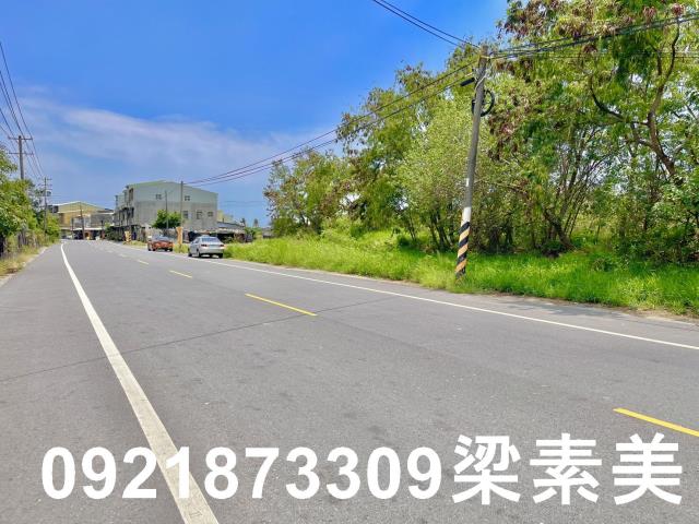 仁德農地-5