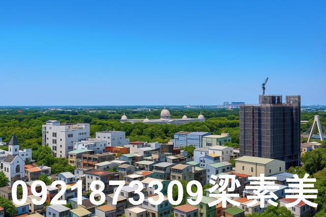 仁德農地-6