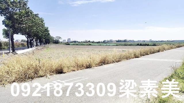 台南西港農地-1