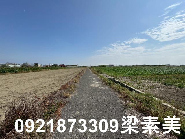 台南七股農地-0