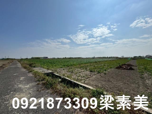 台南七股農地-1